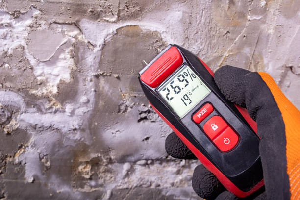 Best Post-Flood Mold Remediation in Stacy, MN